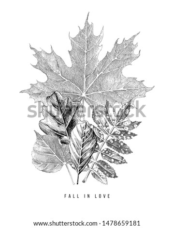 Hand drawn autumn leaves bouquet. Vector illustration in retro style