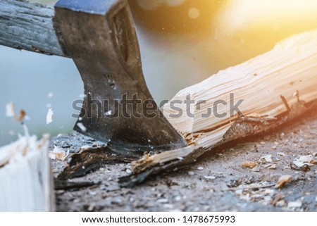 Sharpe axe is cutting wood for making fire, close up picture. Sunlight.