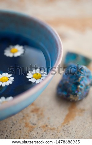 Blue bowl with pure elemental water and Daisy flowers.	