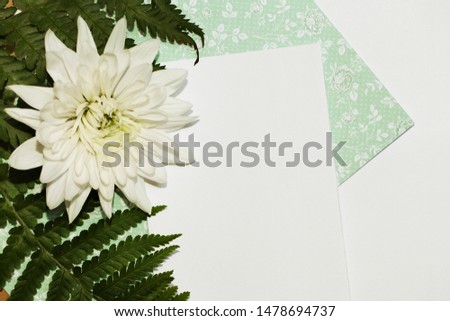 White background with green leaves and flower. Creative concept.
