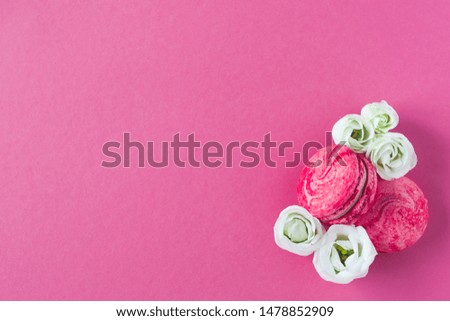 Composition of two pink French macarons and white flowers on pink background. Flat lay, place for text.  