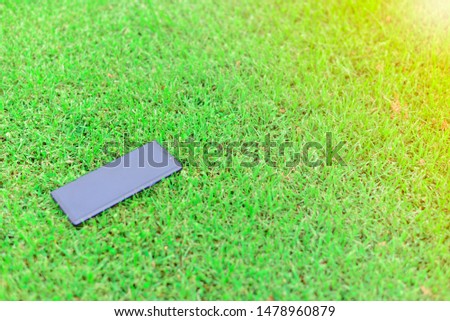 smart phones, white screen
On the green grass.Empty screen with clipping path.on grass  green background