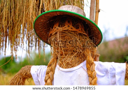 A closeup picture of a scarecrow made of straw with a hat and white shirt and braided hair on a rice field.
