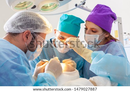 Baldness treatment. Hair transplant. Surgeons in the operating room carry out hair transplant surgery. Surgical technique that moves hair follicles from a part of the head. Royalty-Free Stock Photo #1479027887