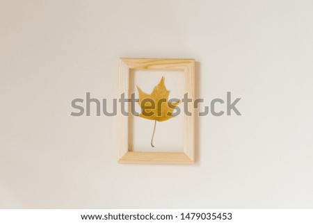 autumn composition: yellow maple fallen autumn leaf in a wooden frame on a beige background. Minimalistic flat lay