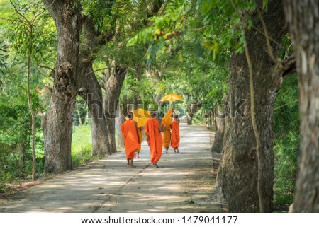 Monks in saffron robe and umbrella walking on rural road among trees in Mekong Delta, Vietnam