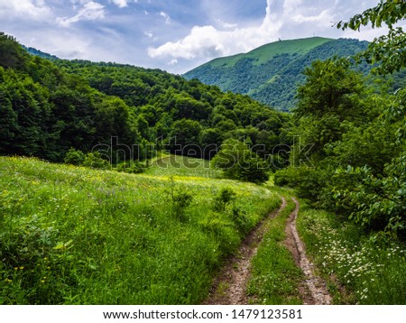 Dramatic summer landscape with dirt road going downhill among lush green meadows and deciduous forests in Dilijan national park, Armenia.