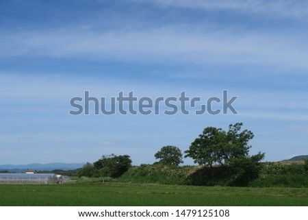 Green fields and blue sky , a countryside area in Hokkaido province japan.