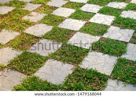 Cement tiles and fresh green grass in checkered pattern on the ground