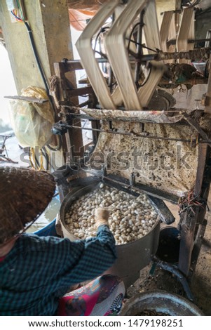 Silkworm cocoon is boilling and unwinding by Vietnamese worman to make silk thread at village in Nam Dinh province, Vietnam