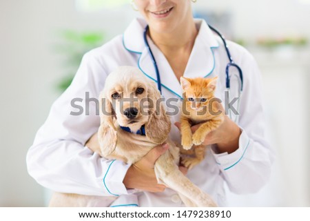 Vet examining dog and cat. Puppy and kitten at veterinarian doctor. Animal clinic. Pet check up and vaccination. Health care. Royalty-Free Stock Photo #1479238910