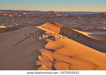 Sun, sands and golden colors in the desert. Desert landscape photo was taken in Erg Chebbi near Merzouga, Saharan Morocco.