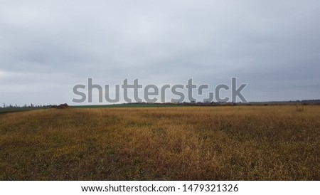 A beautiful landscape of a wheat field in the countryside