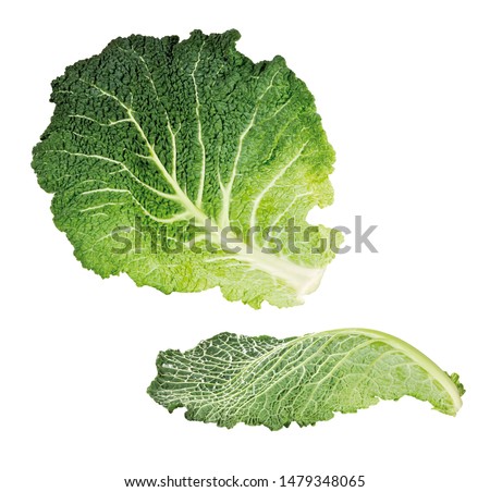 Two savoy cabbage leaves, isolated Royalty-Free Stock Photo #1479348065