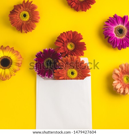 Bright beautiful gerbera flowers and paper card on a sunny yellow background. Mother's Day, Valentine holiday. Place for text, lettering or product. View from above, Copy space. Flatlay