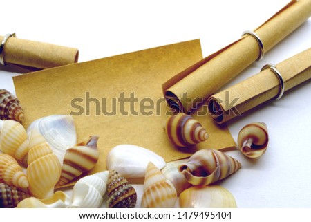 A brown note paper decorated with snail shells, clam shells and rolled up papers with white background