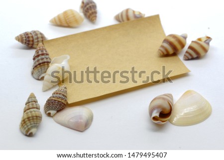 A brown note paper decorated with snail shells, clam shells with white background