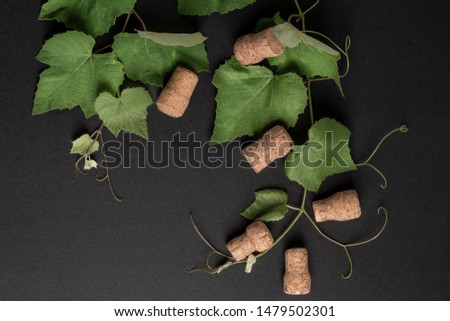 natural background with green grape leaves and bottle corks on black