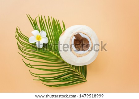 Palm leaf and coconut on pastel orange background, top view. Mockup, overhead. Flat lay image with copy space. Summer and tropical concept