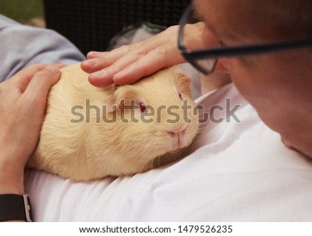 Man stroking white guinea pig.