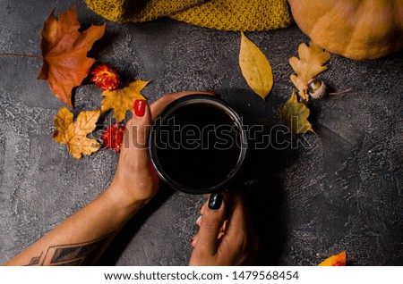 cup of coffee with autumn leaves. Hands are holding cup of coffee. Top view. Place for text. Cozy autumn style.