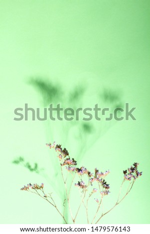 Abstract background of shadows branch leaves on wall. Shadows overlay effect. Copy space. Mockup