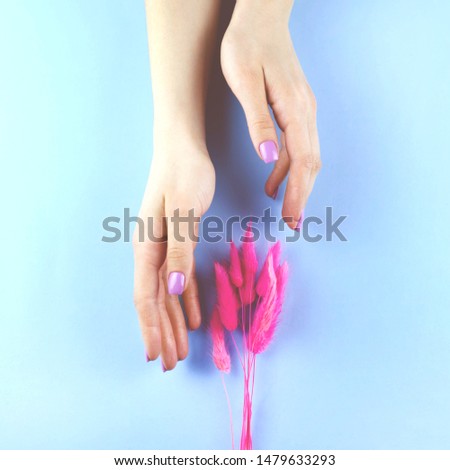 Female hand with a gentle manicure holds a bouquet of dried flowers.