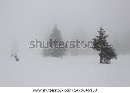 Panoramic view of the picturesque snowy winter landscape. 