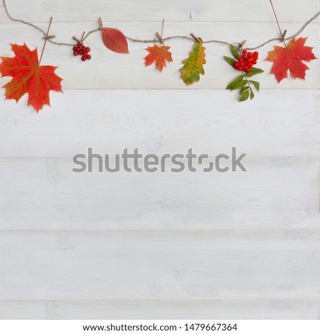 Autumn composition. Autumn flowers and leaves. Flat lay, top view, copy space