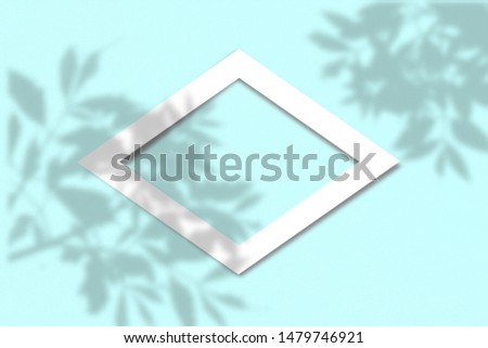 Top view of the shade of the tree leaves on a blue background. Flat style. A piece of paper in the background. Layout with the imposition of plant shadows. Natural light casts a shadow from above.