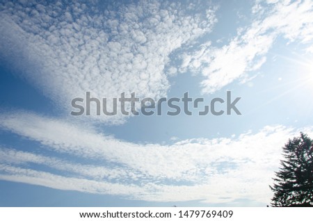 Beautiful cumulus clouds on a blue sky on a sunny day.