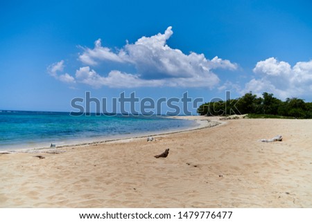 beautiful beach in puerto plata dominican republic near the malecon