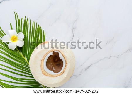 Summer composition. Tropical palm leaf, coconut, plumeria flower on white marble background. Summer concept. Flat lay, top view, mockup, banner, copy space