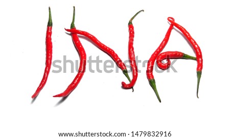 "INA" text shape from red chili peppers isolated on white background. Concept of INA initial of Indonesia