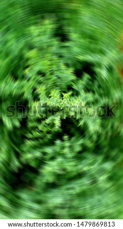 Abstract and green background images