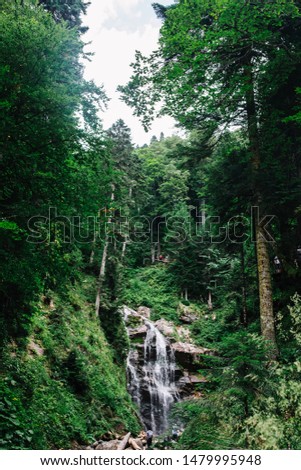mountain waterfall in a green forest