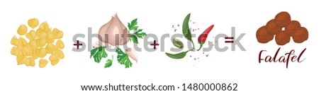 Recipe Falafel. Chickpea Onion Garlic Parsley Chilli Pepper Cumin, Coriander. Vegetables, Herbs, Speaces. Realistic Hand Drawn Illustration. Royalty-Free Stock Photo #1480000862