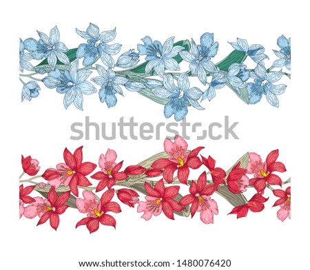 Orchid brushes isolated on white background. Vector illustration