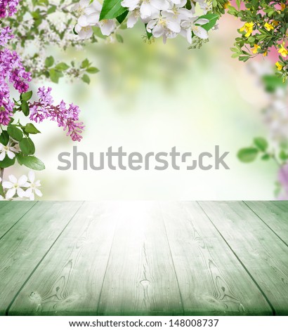 spring background with wooden planks 