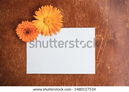 Beautiful flower composition. Mockup with white sheet of paper and orange garden flowers. Summer vintage decor. Layout on wooden table. 