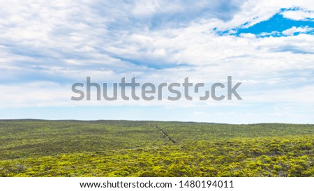 Endless bushland with eucalyptus trees viewed from Bunker Hill Lookout, Kangaroo Island, South Australia