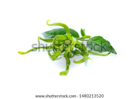 Ylang Ylang flower isolated on white background.