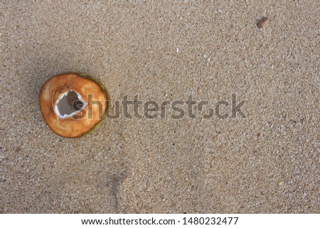 coconut fruit, on the beach