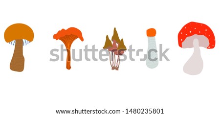 
Boletus, fly agaric, toadstool and other mushrooms on a white background. Illustration. Flat vector.