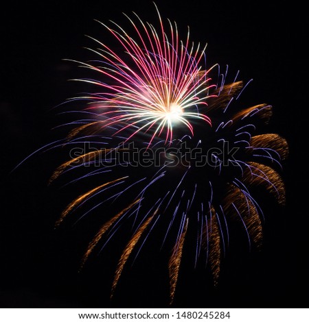 Red, purple, green, and gold fireworks explode during an Independence Day celebration in the United States.