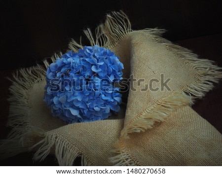 
The picture was taken in August 2019.The picture shows blue hydrangea flowers in burlap.