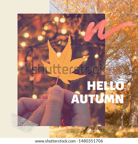 Inspirational motivation quote hello autumn with maple leaves on background, holiday and seasonal concept, collage style