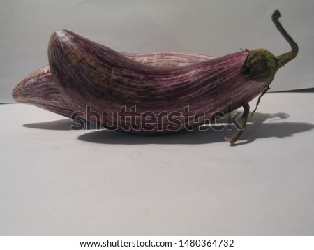 vegetable on a white background, products from the farmer