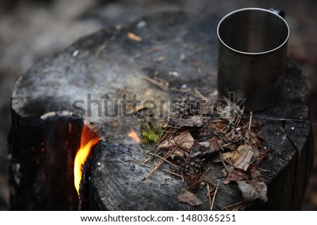 A picture of the fire survivors cones and pine needles on the burned stump.Flame burns through a log with a metal camping mug. Burning the stump with a yellow flame.Close up.Selective focus.