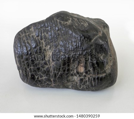 black chondrite meteorite on a white background
